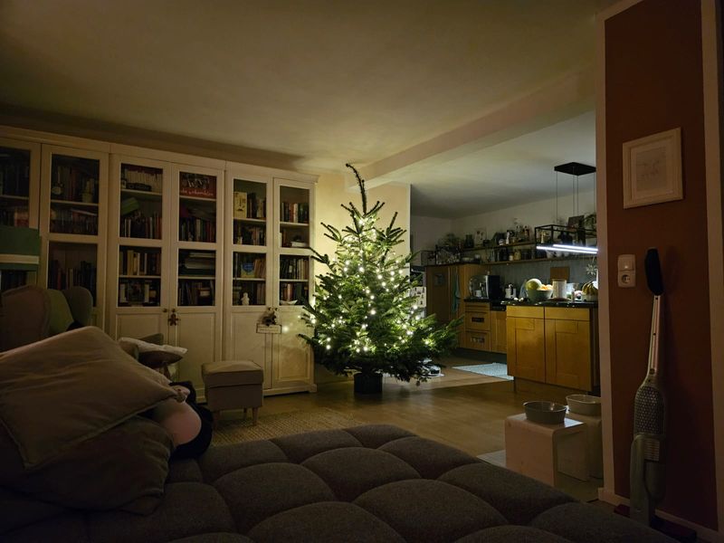 2025-12-21 Weihnachtsbaum